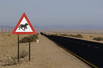 Namib Desert Horse (Equus caballus) warning sign, Namib-Naukluft National Park, Namibia
