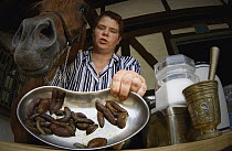 Chocolate Arion (Arion rufus) group collected by Sabine Mlynek, who uses them in traditional bronchitis medicine for Domestic Horses (Equus caballus), Germany
