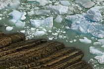 Icebergs near lakeshore, Lake Argentino, Los Glaciares National Park, Patagonia, Argentina