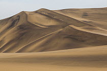 Sand dune in desert, Namibia