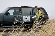 Snowy Plover (Charadrius nivosus) biologist, Caitlin Robinson-Nilsen, at research vehicle, Milpitas, Bay Area, California