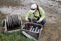 Snowy Plover (Charadrius nivosus) biologist, Caitlin Robinson-Nilsen, checking monitoring equipment, Milpitas, Bay Area, California