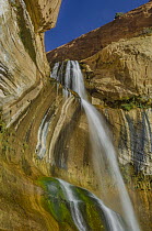 Calf Creek Falls, Grand Staircase-Escalante National Monument, Utah