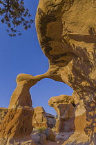 Metate Arch, Devil's Garden, Grand Staircase-Escalante National Monument, Utah