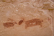 Pictographs near Great Gallery, Canyonlands National Park, Utah