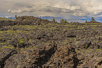 Lava formation, Craters of the Moon National Monument, Idaho