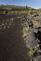 Lava field, Craters of the Moon National Monument, Idaho