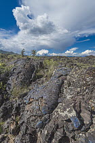 Lava field, Blue Dragon Flow, Craters of the Moon National Monument, Idaho