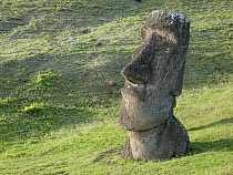 Moai statue, Rano Raraku, Easter Island, Chile