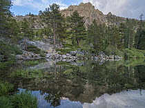 Maggies Peaks from Eagle Lake, Eldorado National Forest, California