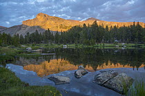 Mountain reflected in alpine lake, Mount Dana, Tioga Pass, Sierra Nevada, Yosemite National Park, California