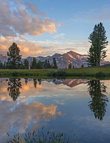 Mountain reflected in alpine lake, Mount Gibbs, Tioga Pass, Sierra Nevada, Yosemite National Park, California