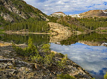 Dana Plateau from Ellery Lake, Sierra Nevada, Inyo National Forest, California