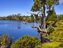 Lake Windermere, Cradle Mountain, Tasmania, Australia