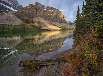 Crowfoot Mountains and Bow Lake, Icefields Parkway, Rocky Mountains, Alberta, Canada