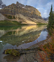 Crowfoot Mountains and Bow Lake, Icefields Parkway, Rocky Mountains, Alberta, Canada