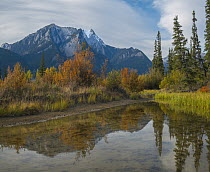 De Smet Range, Rocky Mountains, Jasper National Park, Alberta, Canada