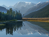 Mount Kitchener reflected in Athabasca River, Icefields Parkway, Alberta, Canada