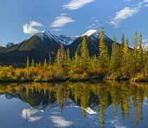 Taiga and peaks, Sundance Range, Vermilion Lakes, Banff National Park, Alberta, Canada