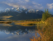 Jacques Range and Cinquefoil Mountain from Talbot Lake, Jasper National Park, Alberta, Canada