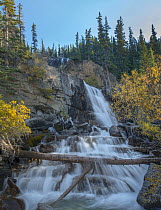 Tangle Falls from Icefields Parkway, Rocky Mountains, Alberta, Canada