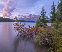 Mount Rundle from Two Jack Lake, Banff National Park, Alberta, Canada