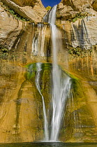 Waterfall, Grand Staircase-Escalante National Monument, Utah