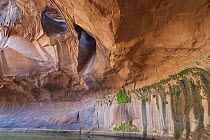 Hole in rock cliff, Golden Cathedral in Neon Canyon, Grand Staircase-Escalante National Monument, Utah