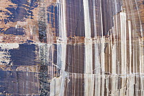 Water stained cliff, Calf Creek Falls, Grand Staircase-Escalante National Monument, Utah