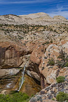 Waterfall in desert, Calf Creek Falls, Grand Staircase-Escalante National Monument, Utah