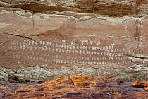 Pictographs, Hundred Hands Panel, Grand Staircase-Escalante National Monument, Utah
