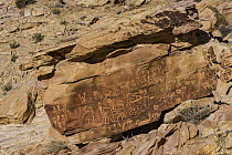 Petroglyph site known as Newspaper Rock, Gold Butte National Monument, Nevada