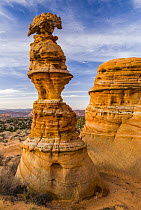 Rock pinnacle, Coyote Buttes, Vermilion Cliffs National Monument, Arizona
