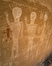 Petroglyphs made by Ancestral Puebloans, Grand Gulch, Cedar Mesa, Bears Ears National Monument, Utah