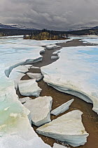 Large ice chunks in river, Putoransky State Nature Reserve, Putorana Plateau, Siberia, Russia