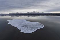 Ice near coast with mountains, Putoransky State Nature Reserve, Putorana Plateau, Siberia, Russia