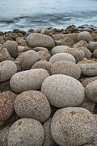 Round rocks, Boulder Beach, Acadia National Park, Maine