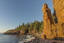 Pinnacle rock formation along coast, Monument Cove, Acadia National Park, Maine