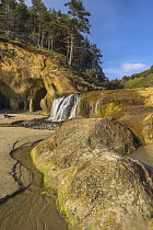 Waterfall along coast, Hug Point Falls, Hug Point State Recreation Site, Oregon