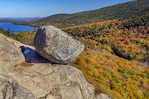 Glacial granite rock and deciduous forest in autumn, Bubble Rock, Mount Desert Island, Acadia National Park, Maine