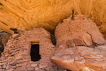Ancestral Puebloan ruins, Road Canyon, Bears Ears National Monument, Utah