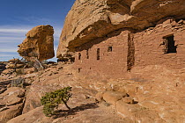 The Citadel Ruins, Cedar Mesa area, Bears Ears National Monument, Utah