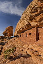 Ancestral Puebloan ruins, Road Canyon, Bears Ears National Monument, Utah