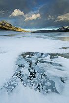Frozen methane bubbles in winter, Abraham Lake, Canadian Rocky Mountains, Alberta, Canada