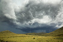 Lightning over savanna, Mountain Zebra National Park, South Africa