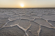 Salt flat, Lake Asale, Danakil Depression, Ethiopia
