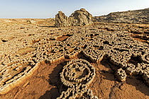 Salt mosaic from dry hot springs, Danakil Depression, Ethiopia