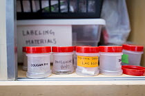 Samples of scents used in training for scent detection dogs with Conservation Canines, northeast Washington