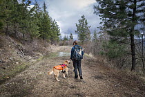 Domestic Dog (Canis familiaris) named Chester, a scent detection dog with Conservation Canines, with field technician Rachel Katz, northeast Washington
