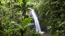 Waterfall in rainforest, Baeza, northern Ecuador
